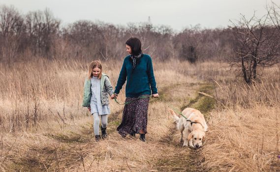 Early spring walk with dog in nature