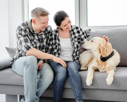 Smiling couple palming golden retriever at home