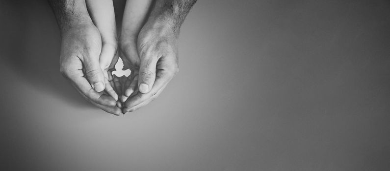 Adult and child hands holding white dove bird on pink background, international day of peace or world peace day concept, sustainable consumption, csr responsible business concept