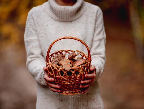 Wicker basket full of mushrooms in girl's hands on autumn wood background