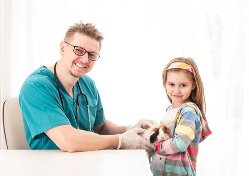 Happy vet doctor inspect girls hairy guinea pig, on white background