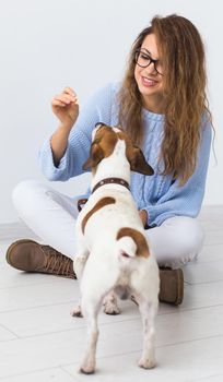 Pets owner - Attractive cheerful female in blue sweater playing with her favourite pet. Happy woman with her jack russell terrier