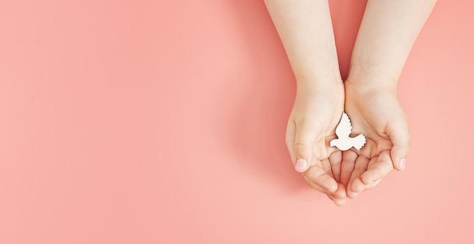 Child hands holding white dove bird on pink background, international day of peace or world peace day concept, sustainable consumption