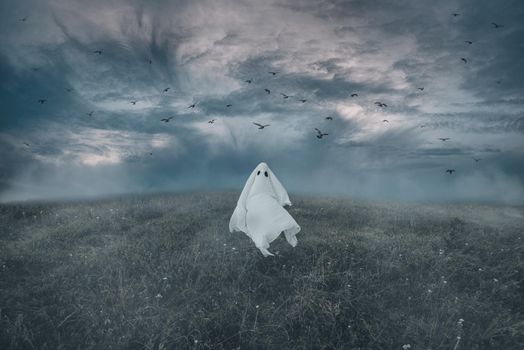Ghost walking on meadow at Halloween night, birds flying in dark cloudy sky.