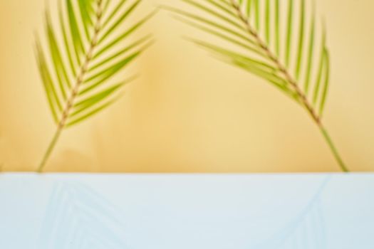 Design banner ads on summer season display concept , abstract blur tropical coconut leaves with white concrete table background for show .