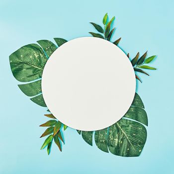 Composition of summer flowers. Round blank paper, green palms on a pastel blue background. Flat lay, top view, copy space, square