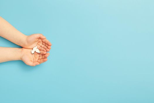 Сhild hands holding white dove bird on blue background, international day of peace or world peace day concept.