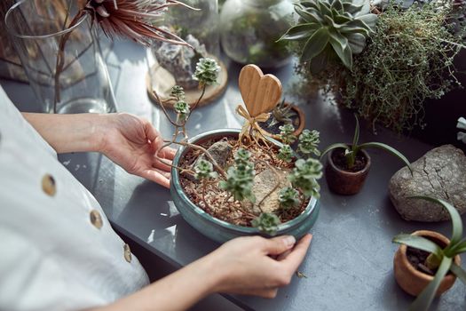 caucasian confident happy florist is working with composition made from glass stones and plants in botanic shop