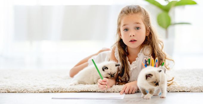 Child girl painting with ragdoll kittens on the floor. Little female person drawing with colorful pencils and kitty pets close to her at home