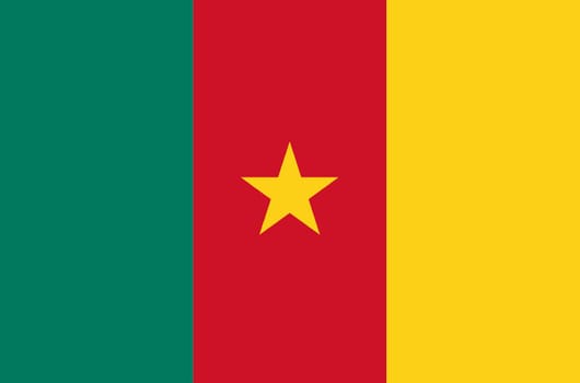 The flag of the African country of Cameroon