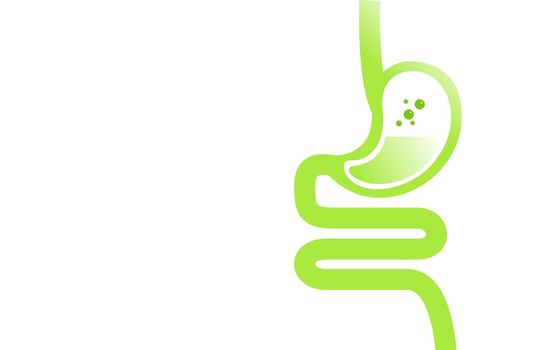 Gastrointestinal tract. Intestines, guts, stomach. Digestive tract.stomach icon. illustration.