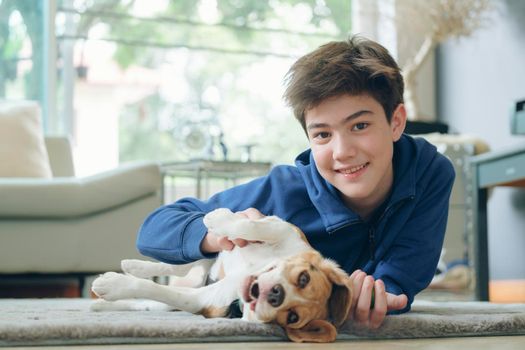 The boy with baby dog. Kids play with puppy. Little boy and the Beagle at couch. Pet at home. Animal care.
