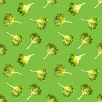 seamless pattern from lettuce green leaves salad. frillice salad isolated on green. iceberg salad leaf close up, modern background, flat lay. lettuce green leaf pattern