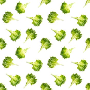seamless pattern from lettuce green leaves salad. frillice salad isolated on white. iceberg salad leaf close up, modern background, flat lay. lettuce green leaf pattern