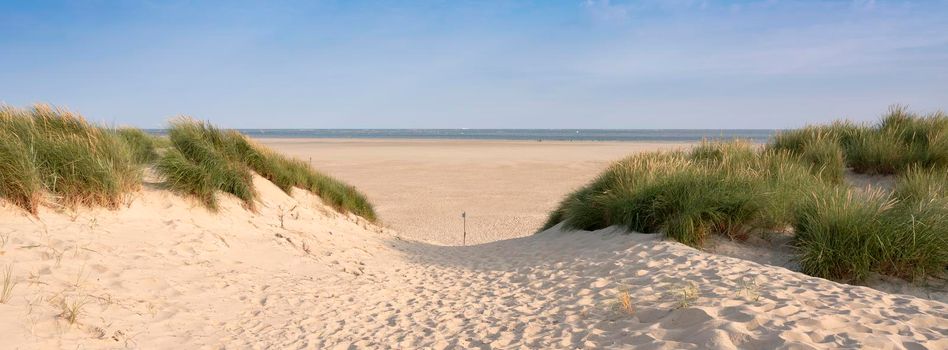 dunes with marram grass and empty beach on dutch island of texel on sunny day with blue sky in summer