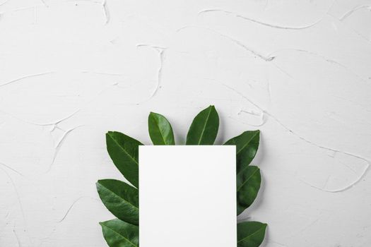 Blank paper letter with plant branch, copy space. High quality photo