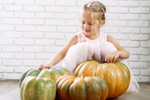 Little girl in pink dress sitting on wooden floor and playing with pile of big pumpkins