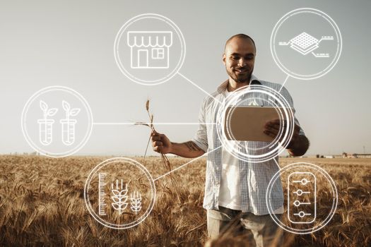 Farmer standing with digital tablet in a wheat field using modern technologies in agriculture, close up