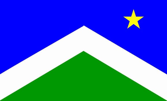 The traditional flag of the Alaska city of Sward the Capital City