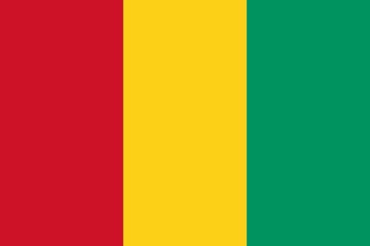 The flag of the African country of Guinea