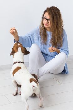 pets owner concept - Attractive cheerful female in blue sweater playing with her favourite pet. Happy woman with her jack russell terrier