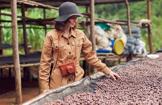 caucasian woman is testing natural drying coffee beans at coffee production center in africa