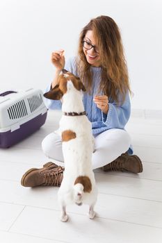 pets owner concept - Attractive cheerful female in blue sweater playing with her favourite pet. Happy woman with her jack russell terrier