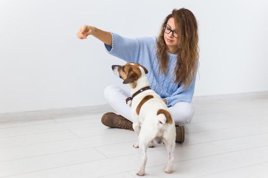 Pets owner - Attractive cheerful female in blue sweater playing with her favourite pet. Happy woman with her jack russell terrier