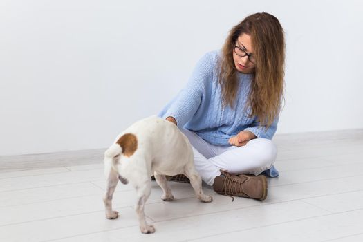 Pets owner - Attractive cheerful female in blue sweater playing with her favourite pet. Happy woman with her jack russell terrier