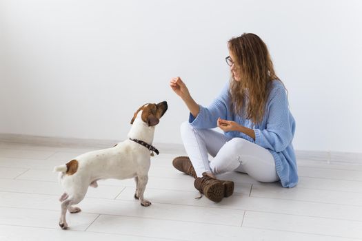 Pets owner - Attractive cheerful female in blue sweater playing with her favourite pet. Happy woman with her jack russell terrier