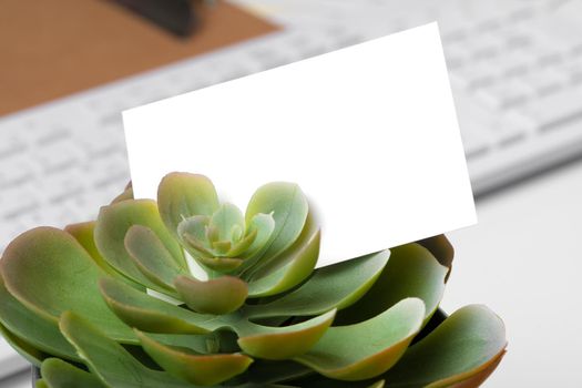 Blank business cards with supplies and keyboard on office table. Close up.