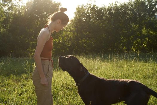 cheerful woman playing with a dog in a field in nature in summer. High quality photo