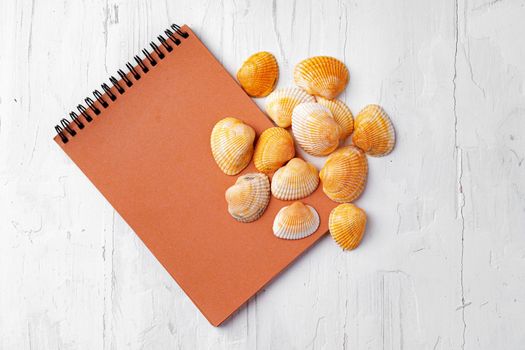 Summer vacation concept with sea shells on white wo9oden planks close up