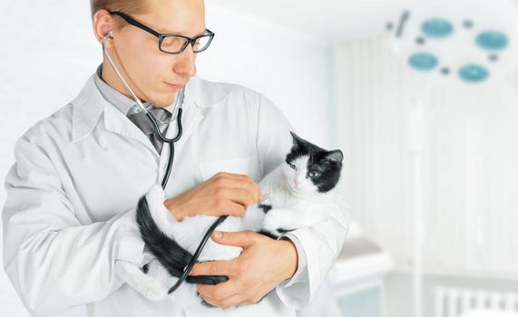 Man doctor veterinarian in a glasses holds a cat in a hospital