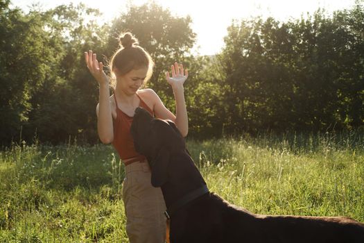 cheerful woman playing with a dog in a field in nature in summer. High quality photo