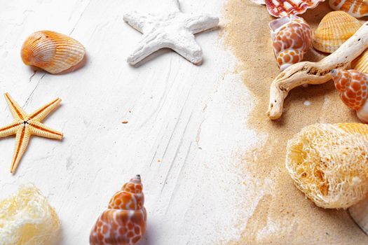Summer vacation concept with sea shells on white wo9oden planks close up