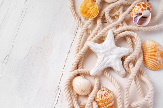 Sea shells with rope on white wooden background, copy space. Summer vacation concept