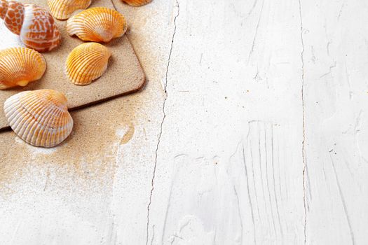 Clipboard with sea shells on white wooden table close up, copy space.