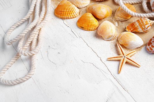 Sea shells with rope on white wooden background, copy space. Summer vacation concept