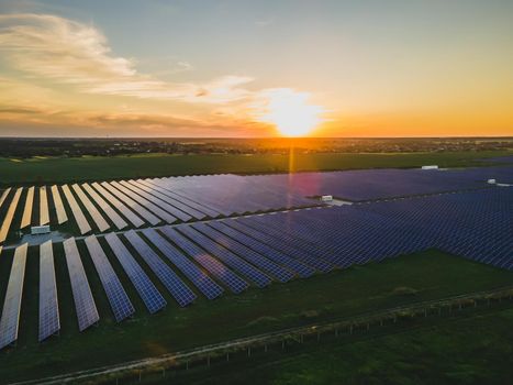 Aerial drone view of large solar panels at a solar farm at bright summer sunset. Solar cell power plants, colorful photo