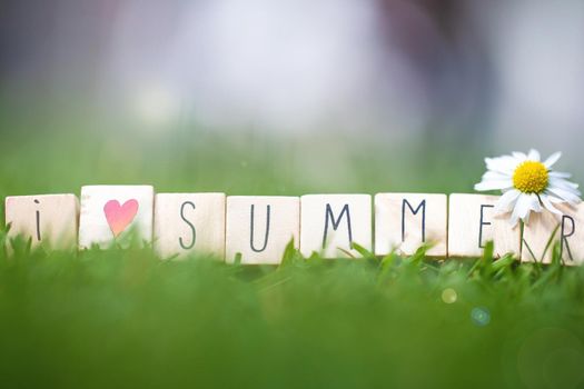 wooden cubes with the words I Love summer in the bright spring green grass with a white Daisy and sunlight, summer background close-up