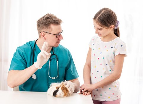 Master vet doctor teaching teen how to look after guinea pig, isolated on white background