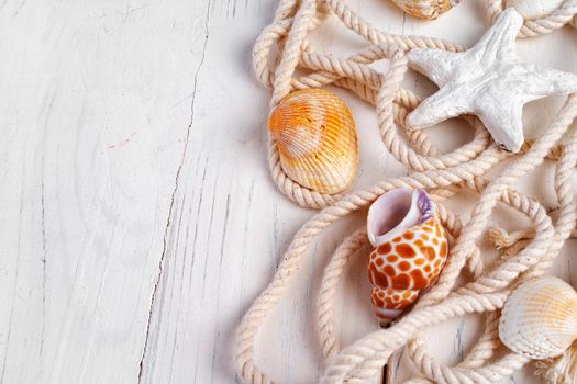 Sea shells with rope on white wooden background, copy space. Summer vacation concept