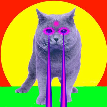 Cat with lasers from eyes. Minimal collage fashion concept - image