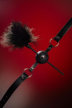 Feathered and ball gag fetish equipment isolated on red background - Image