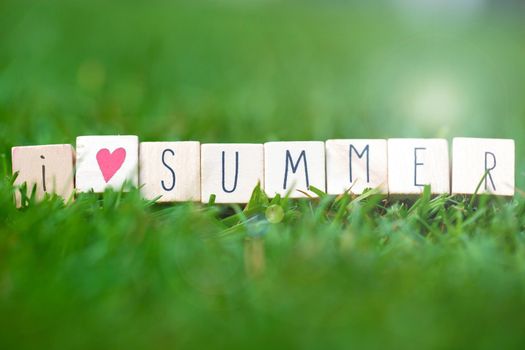 wooden cubes with the words I Love summer in the bright spring green grass with a white Daisy and sunlight, summer background close-up
