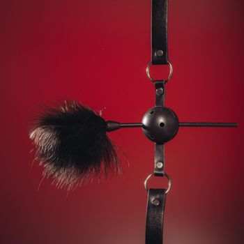 Feathered and ball gag fetish equipment isolated on red background - Image