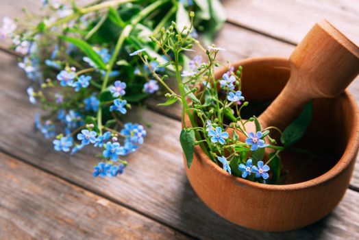 Forget-me-not flowers in mortar with pestle on wooden background