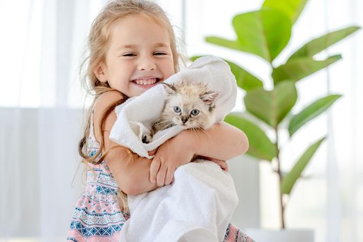 Child girl holding wet ragdoll kitten in towel after cleaning and smiling. Preschool female kid with kitty pet after shower at home
