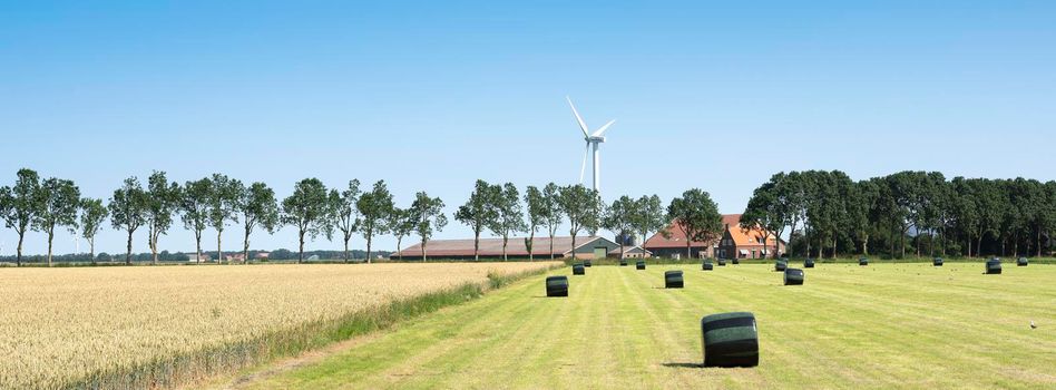 farm and fields with wind turbine in wieringermeer noord holland under blue sky in summer